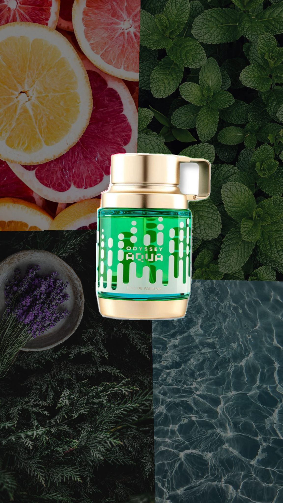 Odyssey Aqua Edition 100 ml